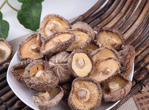 �ɻ����͡����㹽(ͼ1)