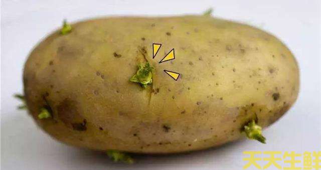 ������ѿ�˻��ܳ���(ͼ2)