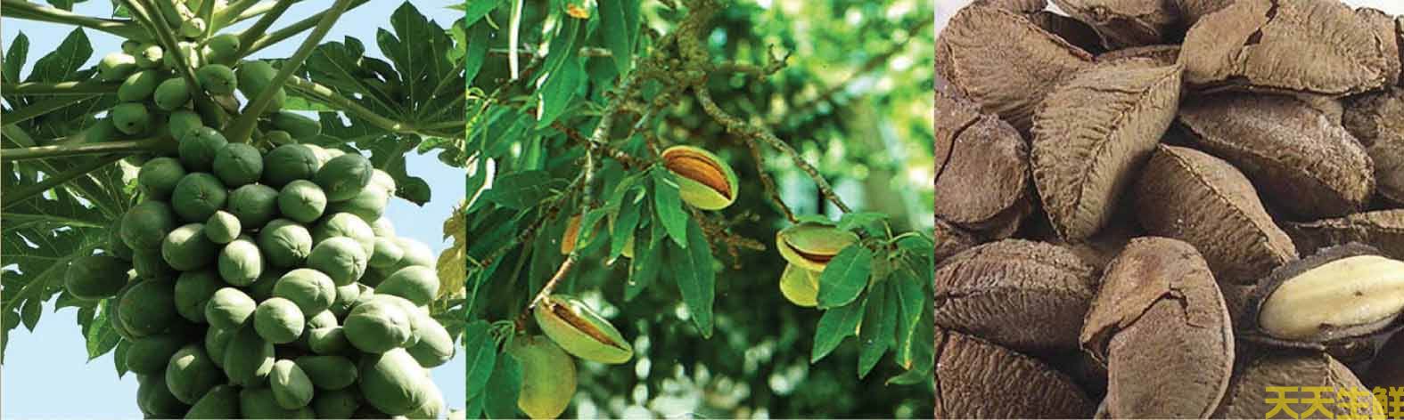 ������������ȫ����(ͼ2)