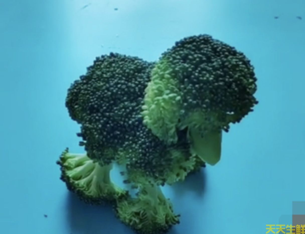 �׶�԰�߲��ֹ���ҵ(ͼ2)