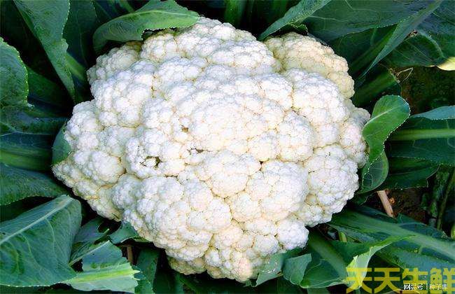 �����ͻ�ѡ���߲˻�������ʵ�ݵ�����(ͼ3)