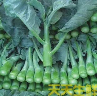 ���ĺͽ���������(ͼ2)