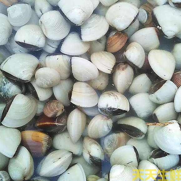 �����Ͳ˹�˾�����������ĺ��ʱ�������Щ��(ͼ3)