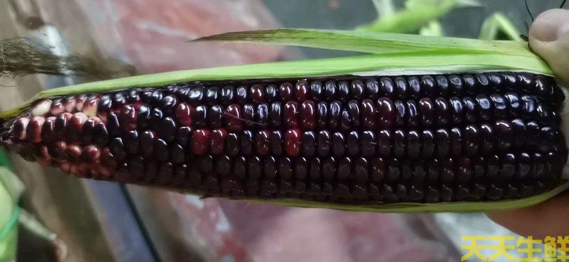 ����ũ��Ʒ���͸����㣬�������׵�Ʒ������Щ��(ͼ2)