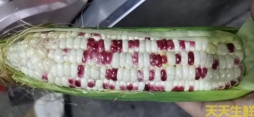 ����ũ��Ʒ���͸����㣬�������׵�Ʒ������Щ��(ͼ4)