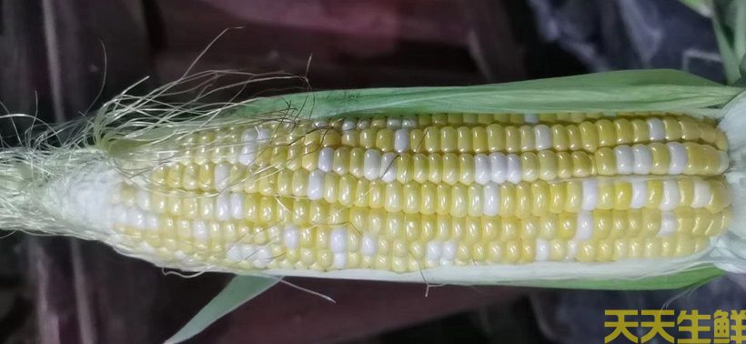 ����ũ��Ʒ���͸����㣬�������׵�Ʒ������Щ��(ͼ5)