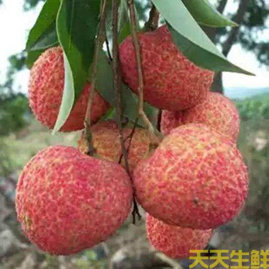 ��֦��Ʒ������Щ�������߲����͹�˾����(ͼ5)