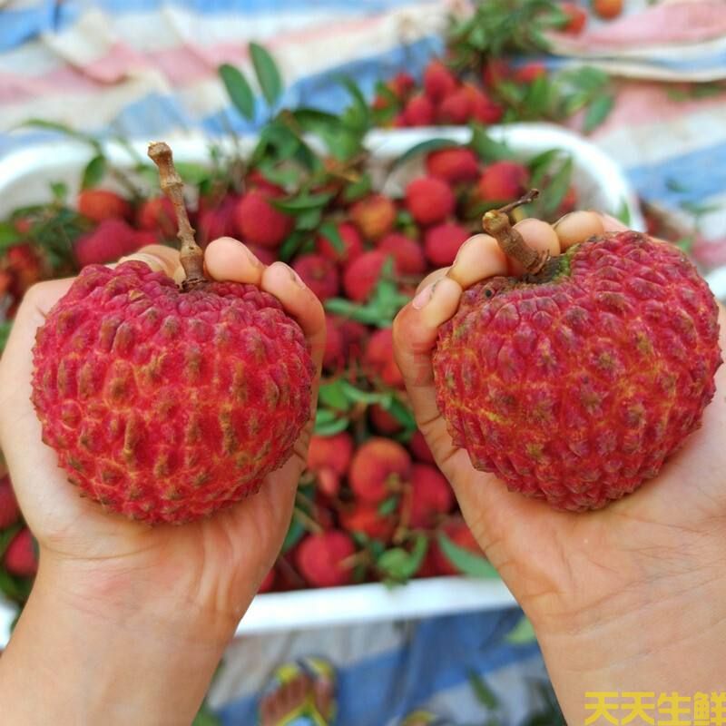 ��֦��Ʒ������Щ�������߲����͹�˾����(ͼ6)