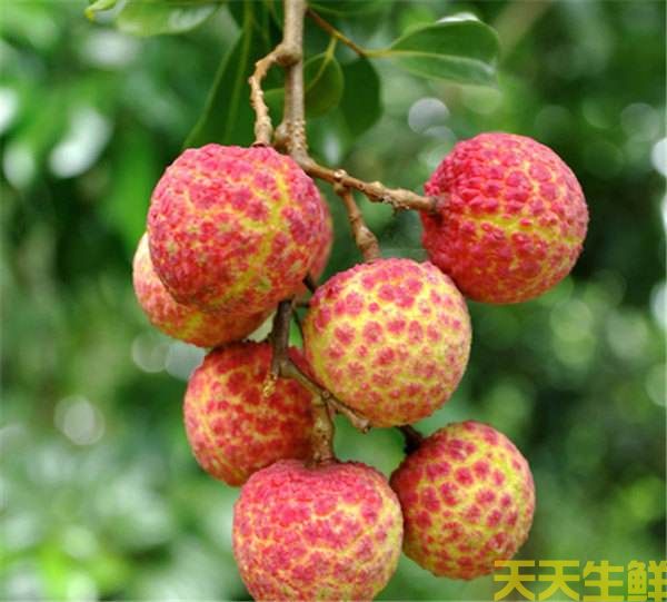 ��֦��Ʒ������Щ�������߲����͹�˾����(ͼ8)