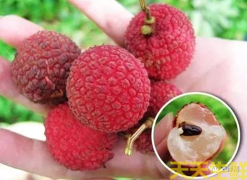 ��֦��Ʒ������Щ�������߲����͹�˾����(ͼ13)