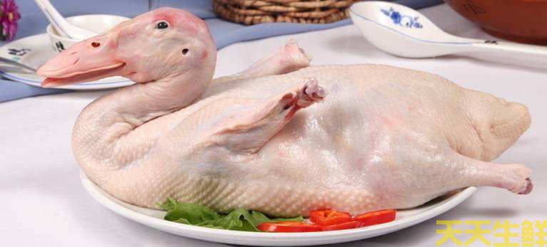 �������ȳ�ʲô�ã������߲����͹�˾�Ƽ���8��ʳ��(ͼ9)