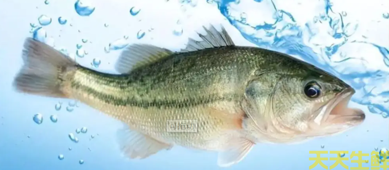 �����߲����͹�˾������������ͺ����������(ͼ2)