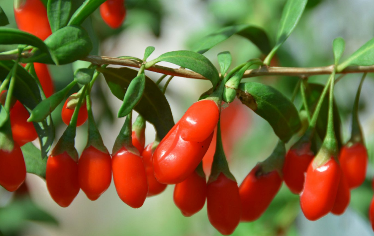 ������轱䡰����轡����˶����˵���(ͼ2)